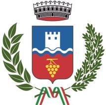 COMUNE DI MADRUZZO PROVINCIA DI TRENTO VERBALE DI DELIBERAZIONE N. 05 del Consiglio comunale Oggetto: Imposta Immobiliare Semplice (IM.I.S.) Approvazione aliquote, detrazioni e deduzioni d imposta per il 2018.