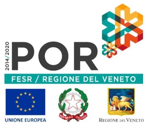 27 febbraio 2019 Treviso Presentazione del bando POR FESR per l