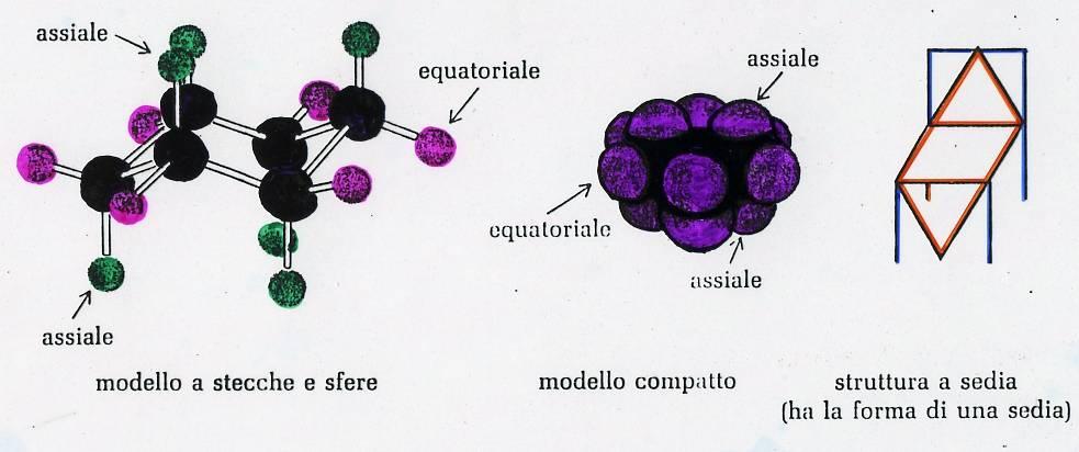 LE FORMULE CONFORMAZIONALI In esse é possibile distinguere i sostituenti in: - assiali, che si proiettano quasi parallelamente all