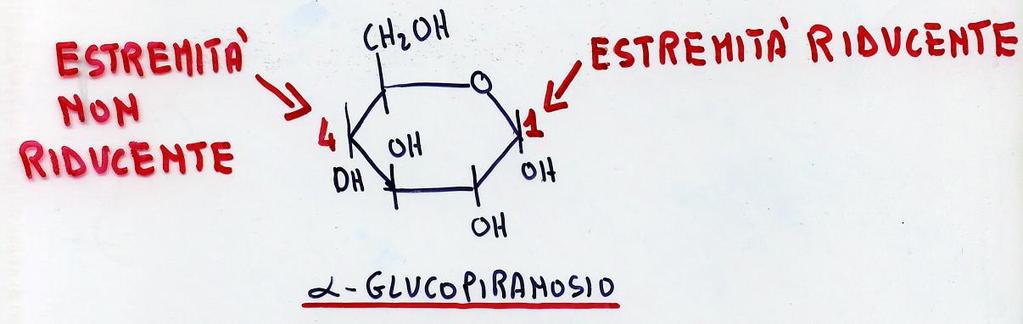 L OSSIDORIDUZIONE DEGLI ZUCCHERI Le ESTREMITA RIDUCENTI sono le estremità dei gruppi aldeidici e chetonici