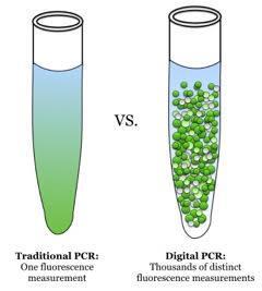 events using droplet digital PCR