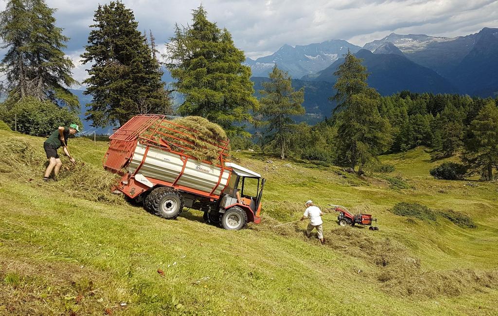 NUOVE POSSIBILITÀ E STRUMENTI PER I GIOVANI AGRICOLTORI E LE NUOVE GENERAZIONI NELLE AREE RURALI Il