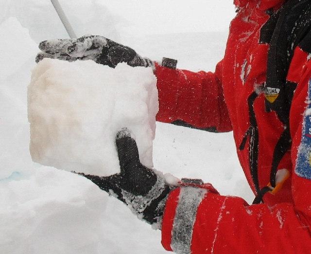 Neve con coesione Anchepoco dopounanevicatai