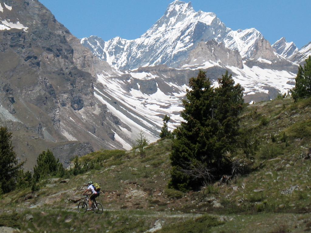 Giro degli alpeggi in alta Val d'ayas http://www.itinerari-mtb.