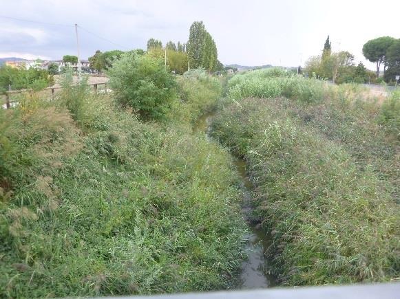 Per quanto riguarda il fiume Montone, si è proceduto al ripristino della sezione idraulica a Villafranca di Forlì (50.