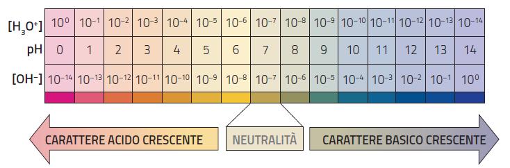 neutralizzazione acidi deboli basi deboli elaborare i dati di (Ka) (Kb) Nella figura che