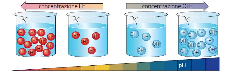 neutralizzazione elaborare i dati di acidi deboli basi deboli (Ka) (Kb) Il p è un numero che misura l acidità, la