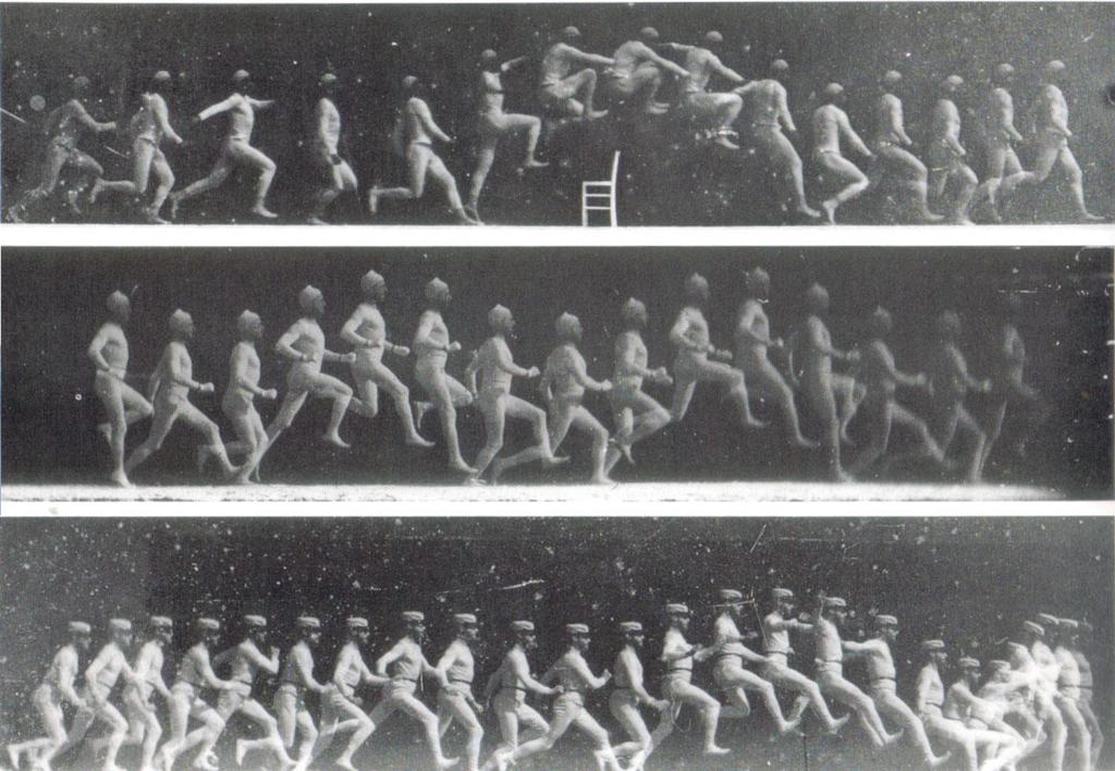 Muybridge (1901),