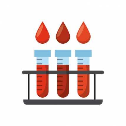 WEST NILE VIRUS LAB NAT IDONEITA BIOLOGICA Dal 2010: PARTECIPAZIONE AL PROGRAMMA DI VALUTAZIONE ESTERNA DI QUALITA DELL ISS E CNS PER LA RICERCA DEL TARGET VIRALE DI WNV (requisito richiesto per