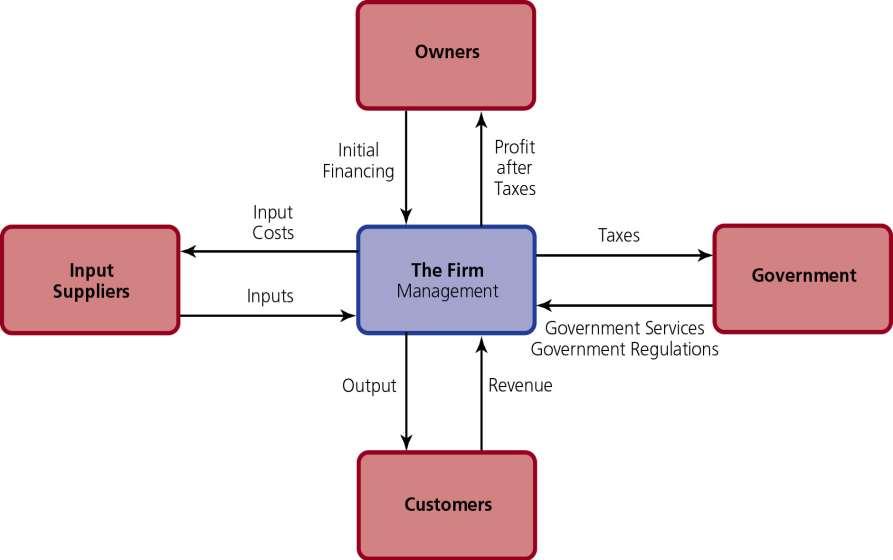 Figure 1: L impresa e l ambiente circostante IMPRESA: un organismo posseduto e