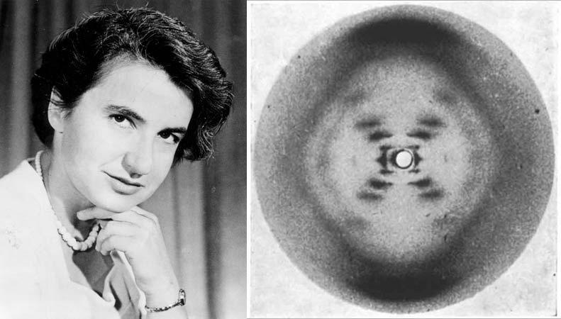 LA SCOPERTA DEL DNA UN PO DI STORIA S 1952- Rosalind Franklin esegue sul DNA una fotografia della diffrazione ai raggi X S Questa foto sarà fondamentale per