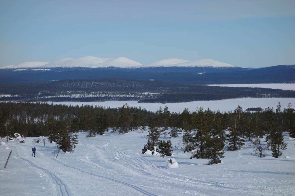 Settimo giorno, venerdì : Jerisjärvi- Muonio (da 29 a 40 km circa) Il punto di arrivo dell ultima tappa della nostra traversata è il villaggio di Muonio, alla frontiera con la Svezia, il confine tra