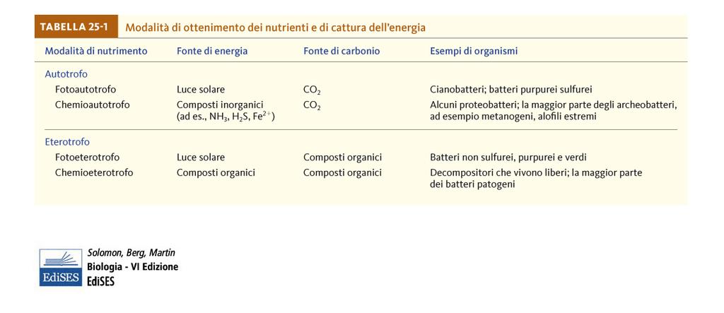 Modalità di ottenimento dei nutrienti e di cattura dell energia Fotoautotrofi, come i cianobatteri, utilizzano l energia luminosa per sintetizzare composti organici.