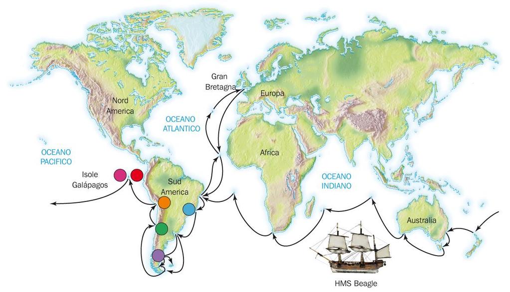 La rotta seguita dal brigantino Beagle I cerchi colorati segnalano le regioni visitate