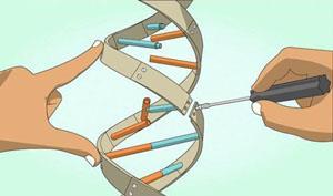 Genome editing: le applicazioni in