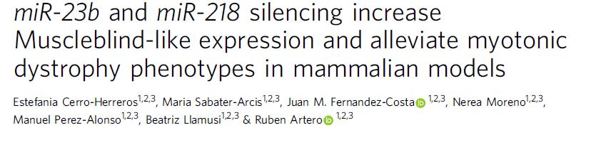 Nature Communica7ons 2018 ü Scopo: verificare se sopprimendo l espressione di mir-23b e mir-218 viene ripristinata la normale espressione delle proteine MBNL ü Metodi: antagonisti dei microrna