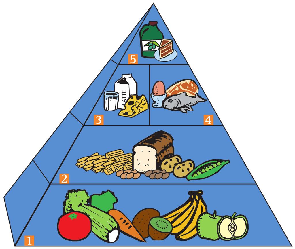 La piramide alimentare I 5 GRUPPI DI ALIMENTI 1 GRUPPO: 3-5 porzioni al giorno 2 GRUPPO: 2-4 porzioni al