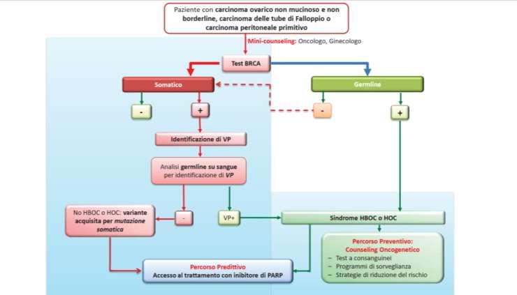 test BRCA nelle pazienti con carcinoma