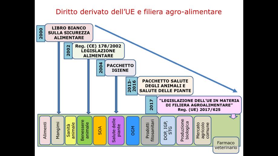 Diritto derivato dell UE