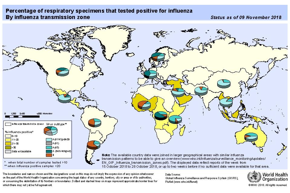 virus B identificati, 54 (52,4%) appartenevano al lineaggio Yamagata e 49 (47,6%) al lineaggio Victoria.