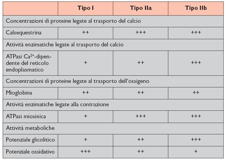 Caratteristiche