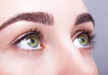 La protezione degli occhi Gli estratti ottenuti dai frutti di mirtillo nero manifestano la loro attività principalmente a livello della retina, la struttura più sensibile dell occhio, indispensabile