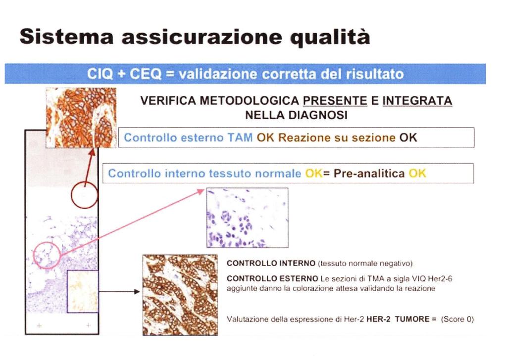 Dr. Dainese (incontro