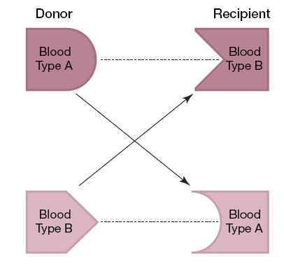 KIDNEY PAIRED DONATION (KPD)