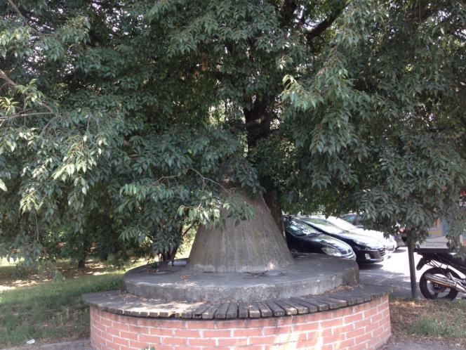 Questa via, partendo dal cimitero, compie come una esse fino a giungere presso piazza C. A. Dalla Chiesa.