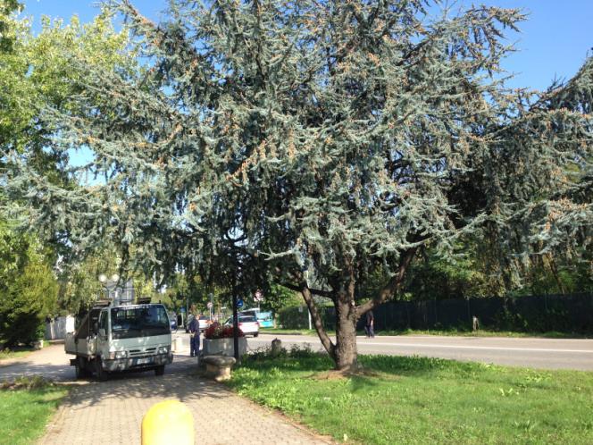 Attraversato il passaggio pedonale del parcheggio, inizia un vialetto per pedoni e biciclette.