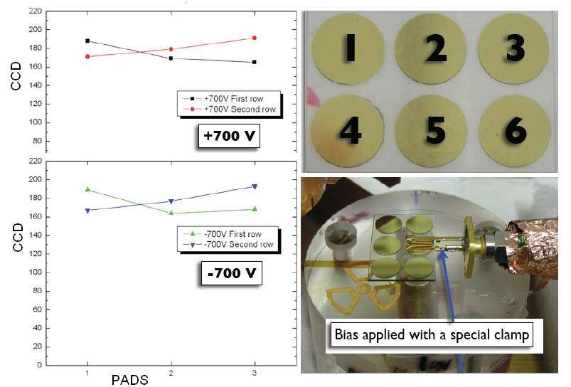 Quality assurance sensore 2 In collaborazione con M.