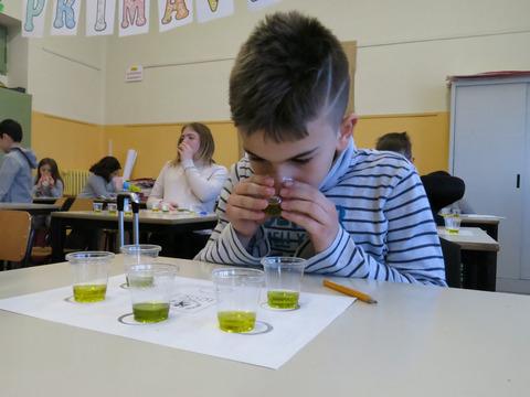 Leone d'oro Kids Leone d'oro Best Packaging Sei oli finalisti dal fruttato leggero e medio saranno sottoposti al palato e all'attento giudizio di una una delle giurie popolari piu'esigenti : venti