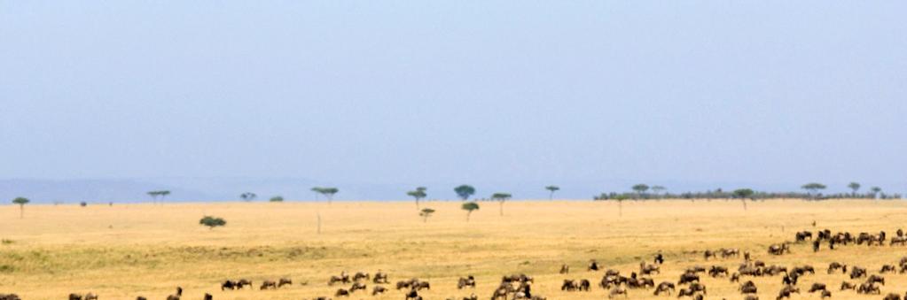 TANZANIA NORD Da Ngorongoro a Serengeti Safari tra i 4 più spettacolari Parchi della Tanzania Viaggio di 10 giorni in hotel e lodge/campo tendato Nel nord della Tanzania sono localizzati alcuni dei