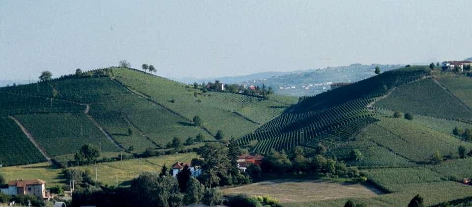 La Qualità del paesaggio agrario Vallata tra San Marzanotto e Mongardino Le produzioni legate al benessere e al tempo libero, come il vino,