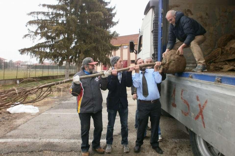 PIANTAGIONE DEGLI ALBERI PER REALIZZARE IL VIALE LUNGO LA