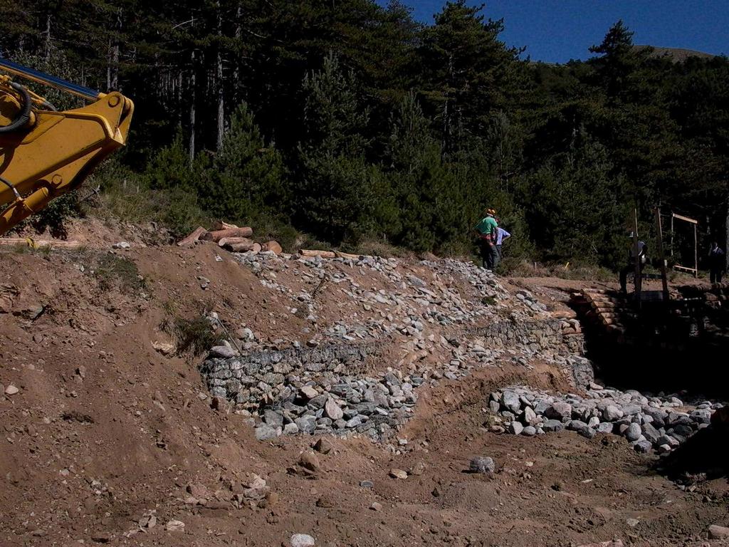 RISULTATI COMPONENTE VEGETAZIONALE COLONIZZAZIONE DI SPECIE ALLOCTONE E RUDERALI Fase di cantiere FASI CRITICHE: Presenza di ampie superfici di terreno nudo per periodi di tempo prolungato; Utilizzo