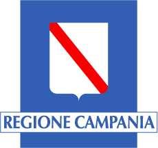 PREMESSA Il Ministero del Lavoro, della Salute e delle Politiche Sociali e la Regione Campania in data 16 marzo 2009 hanno sottoscritto una Intesa Istituzionale di Programma per l'attuazione di un