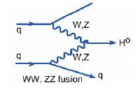 VBF q La produzione VBF comporta uno stato finale con segnatura distintiva : i due quark iniziali hanno un piccolo angolo di scattering ne consegue una segnatura ad alti η ed una soppressione dell