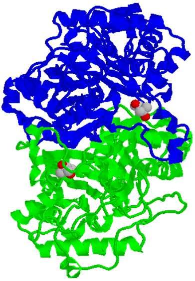 0 gsartor 2001-2019 Metabolismo dei grassi - 83-83 16