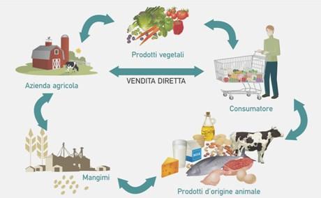 TRACCIABILITÀ (TRACKING)/RINTRACCIABILITÀ (TRACING) REG.