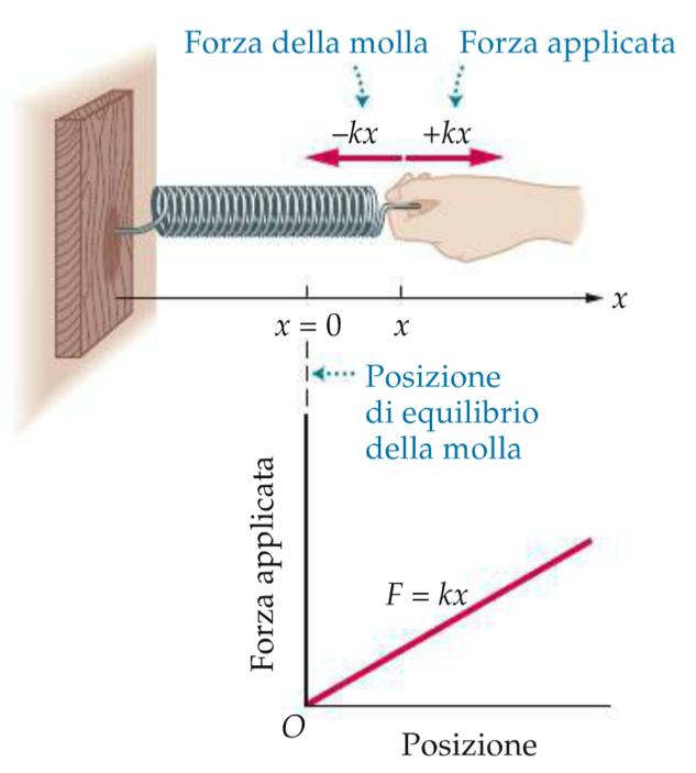 2. Energia potenziale elastica Allungare una molla di un tratto!