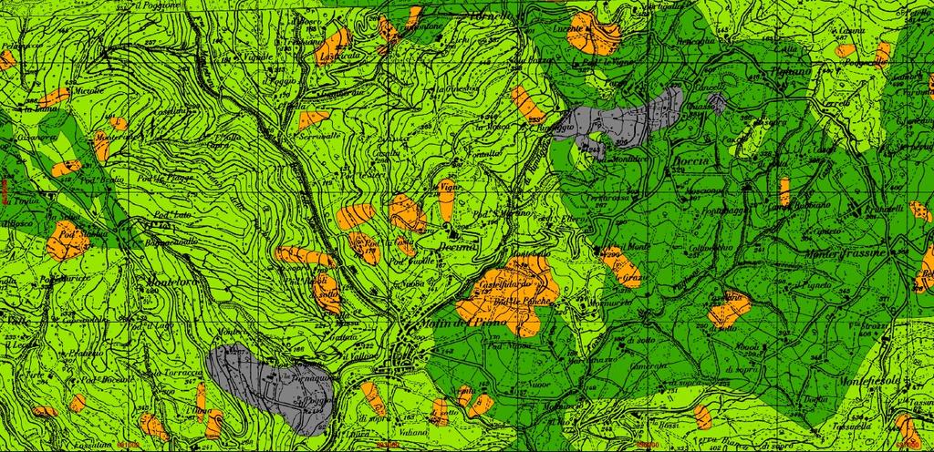 2.4 Analisi cartografia Piano di Bacino Per la definizione del rischio idrogeologico, è stato fatto riferimento al PAI, Piano Stralcio di Bacino per l Assetto Idrogeologico (approvato con D.P.C.M.