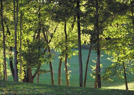 ambiente Le reazioni per l ambiente.