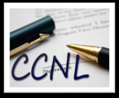 In entrambi i casi il contratto che viene utilizzato è il CCNL Contratto collettivo nazionale di lavoro sulla disciplina del rapporto di lavoro domestico.