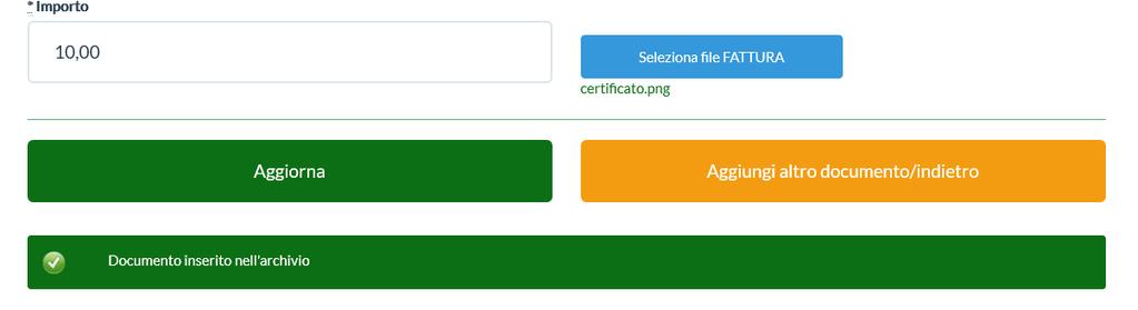 Cliccare sul pulsante verde AGGIUNGI FILE per caricare il file appena selezionato; comparirà il messaggio