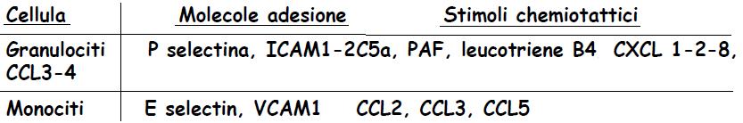 potente di quello tra piastrina ed endotelio. Le piastrine rilasciano importanti molecole-segnale, come il fattore tissutale, e favoriscono il rilascio di citochine e chinine.