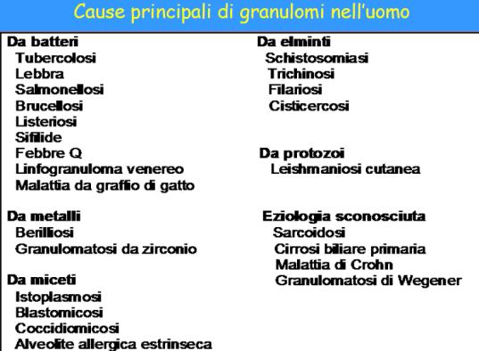 Dal punto di vista istopatologico si hanno essenzialmente due tipi di istoflogosi: Interstiziale: il processo infiammatorio è diffuso Granulomatosa: è una risposta infiammatoria focale e ben