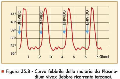 passaggio del plasmodio in circolo Ci sono febbri periodiche ereditarie, dovute