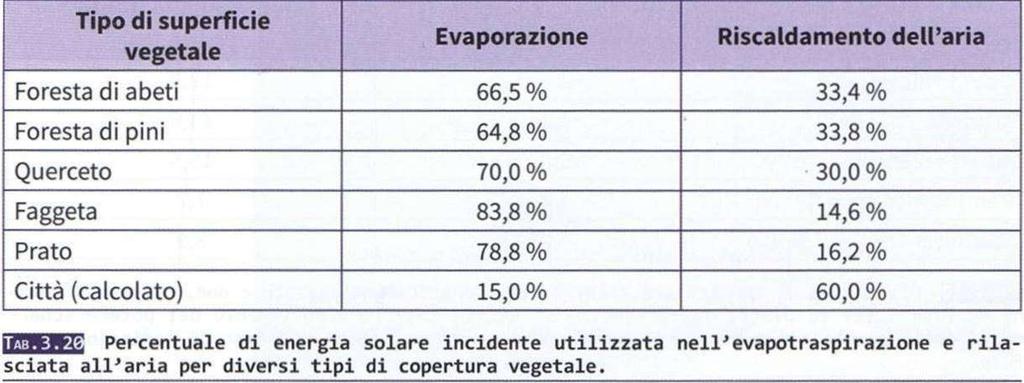 Il verde pensile e la