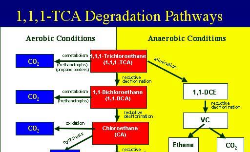 finali di degradazione 1,1,1 TCA PERCORSO DI DEGRADAZIONE Condizioni Aerobiche Condizioni